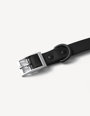 city dog collar - black