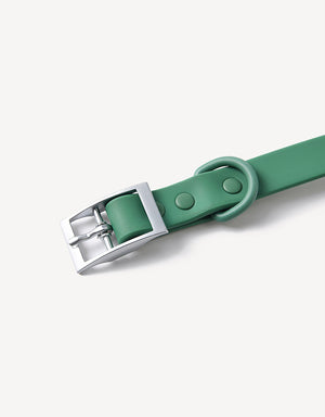 city dog collar - green