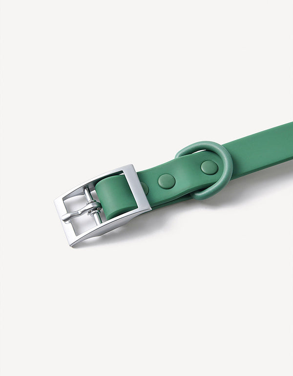 city dog collar - green