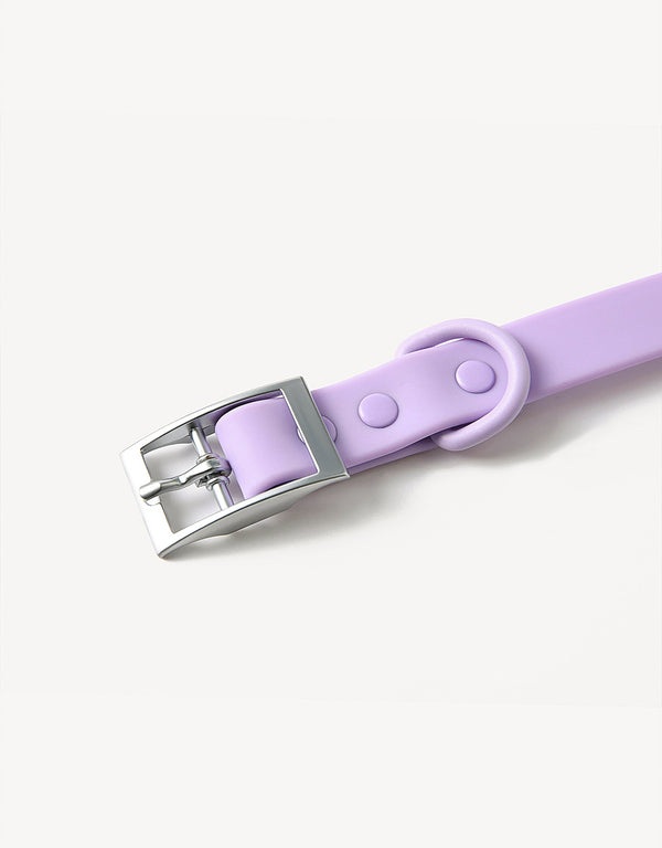 city dog collar - lilac