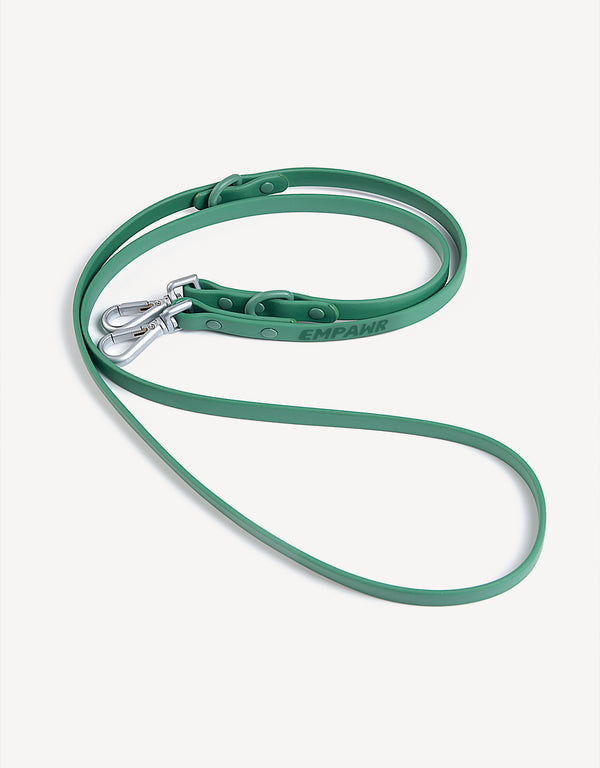city dog leash - green