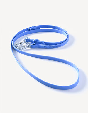 city dog leash - sky