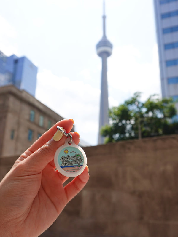 🌞 dog tag - cute as sunshine