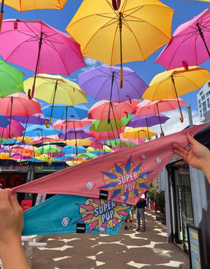reversible dog bandana - super pup pink