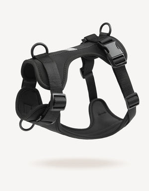 EMPAWR Comfort Fit Dog Harness - Black