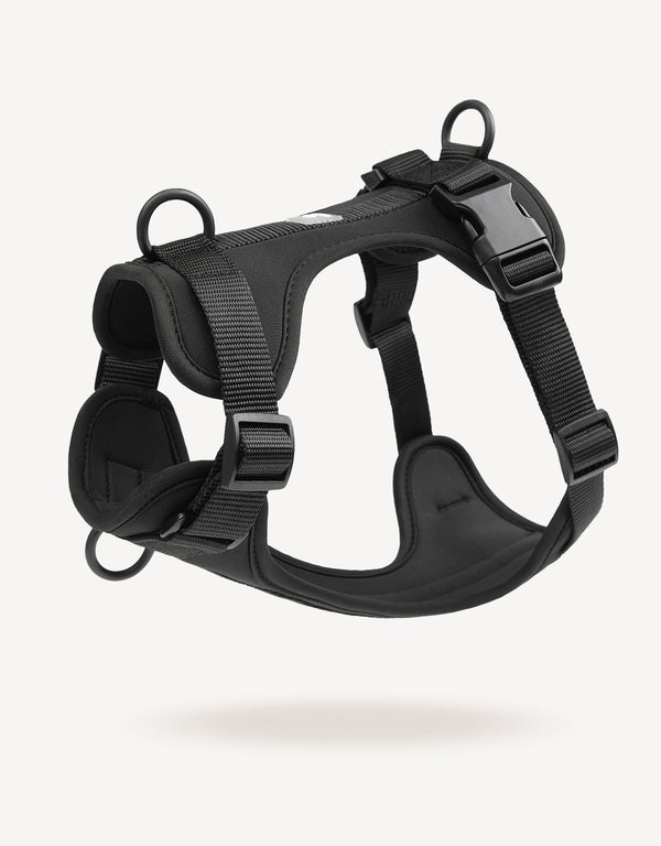EMPAWR Comfort Fit Dog Harness - Black
