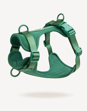 EMPAWR Comfort Fit Dog Harness - Green