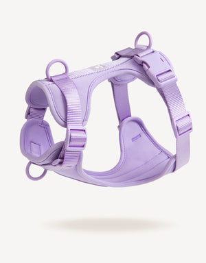 EMPAWR Comfort Fit Dog Harness - Lilac