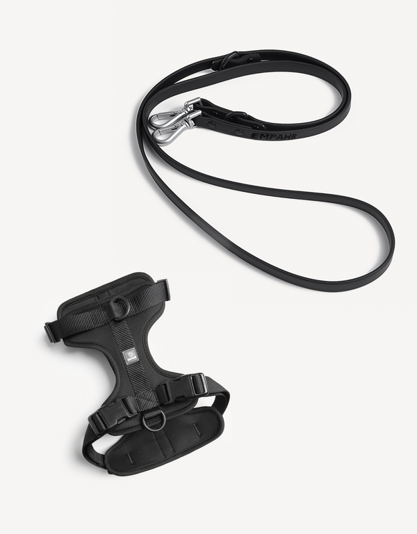EMPAWR Harness Walk Kit - Black