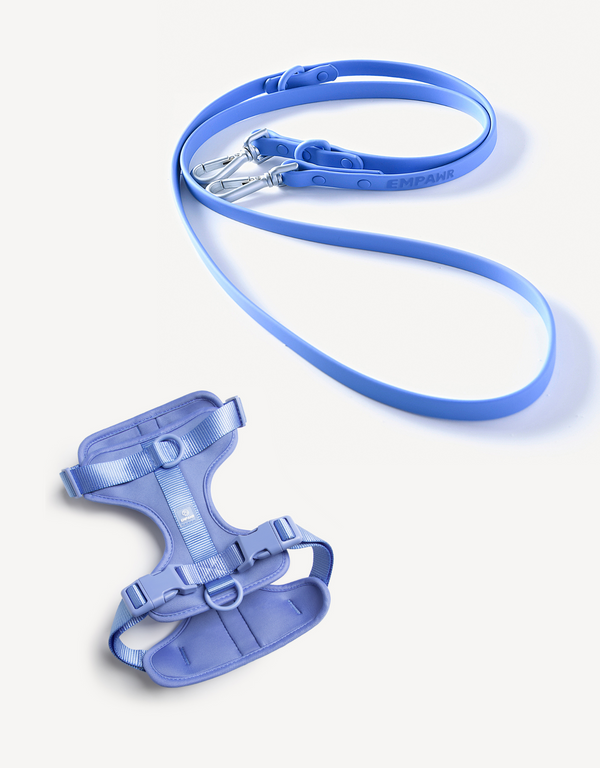 EMPAWR Harness Walk Kit - Blue