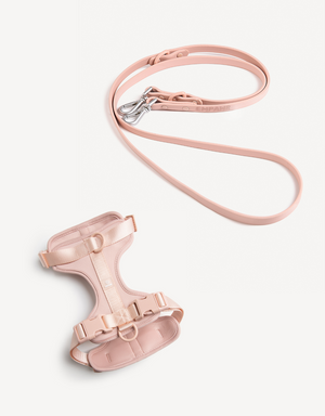 EMPAWR Harness Walk Kit - Blush
