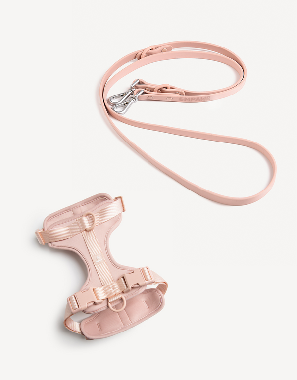 EMPAWR Harness Walk Kit - Blush