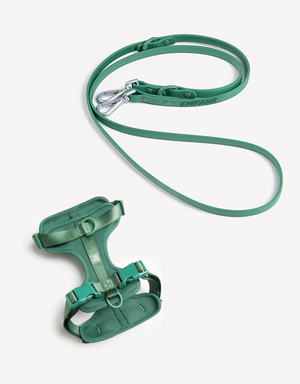 EMPAWR Harness Walk Kit - Green