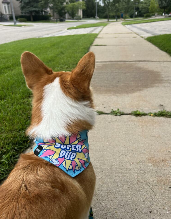 reversible dog bandana - super pup blue