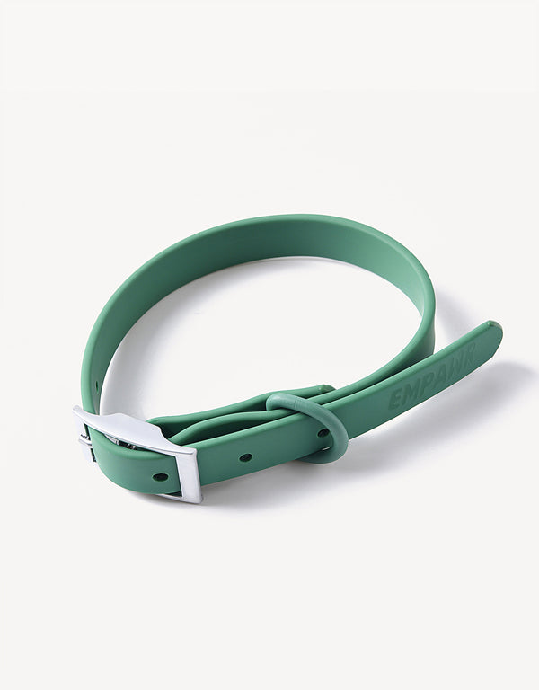 This image features the EMPAWR city dog collar in green color. Designed for both style and functionality, the collar showcases a sleek, minimalist design that is water, dirt, and odor-resistant, ensuring easy maintenance.