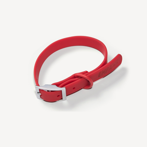 🧧 red fortune kit - ID tag, collar & leash