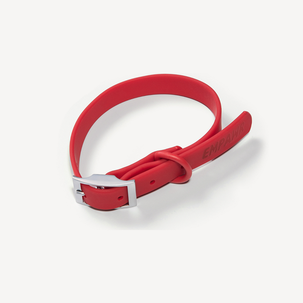 🧧 red fortune kit - ID tag, collar & leash