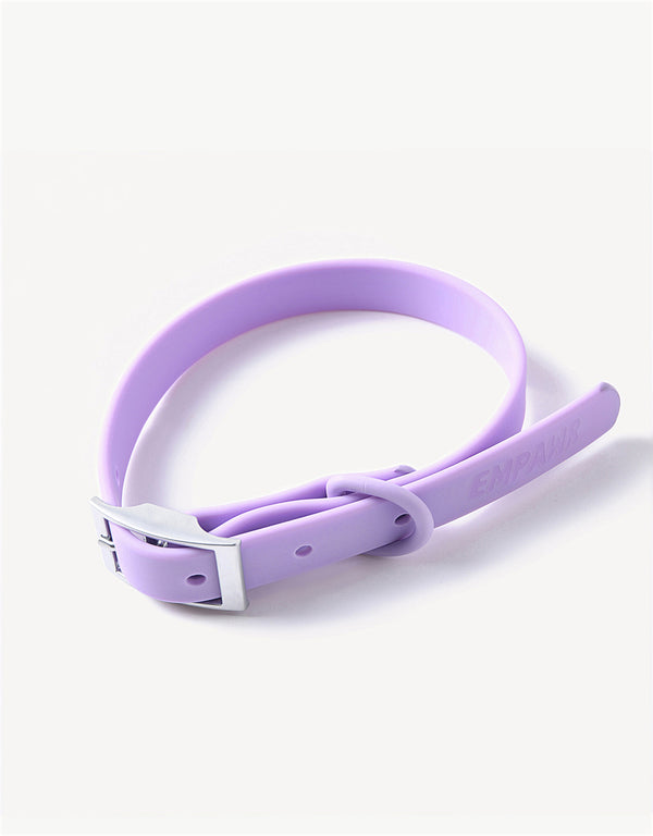 This image features the EMPAWR city dog collar in lilac color. Designed for both style and functionality, the collar showcases a sleek, minimalist design that is water, dirt, and odor-resistant, ensuring easy maintenance.