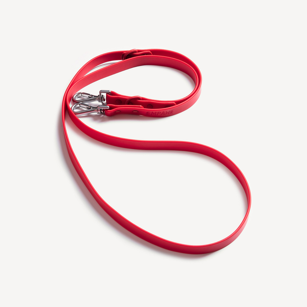 🧧 red fortune kit - ID tag, harness & leash