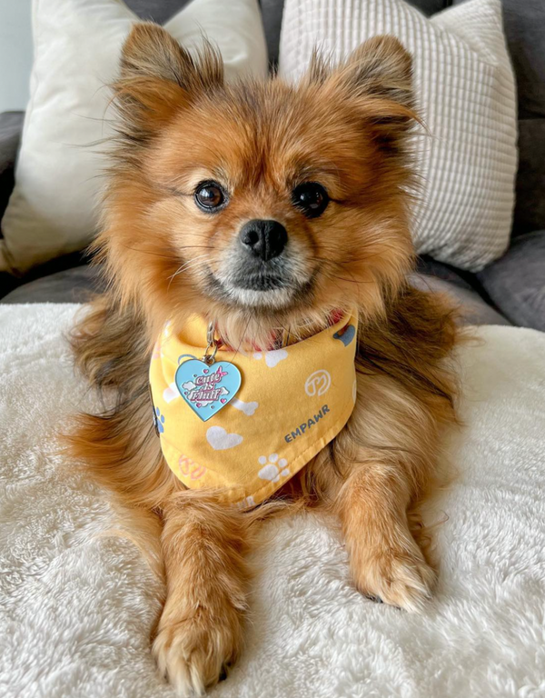 reversible dog bandana - baby yellow