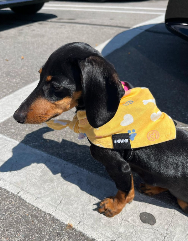 reversible dog bandana - baby yellow