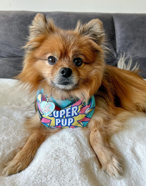 reversible dog bandana - super pup blue