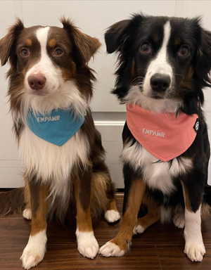 power twins dog bandana set