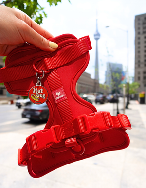 comfort fit dog harness - cherry