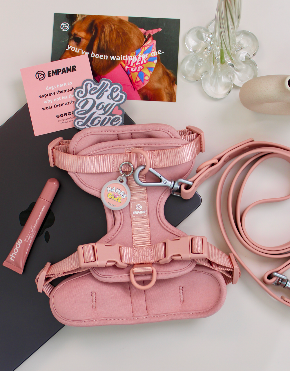 EMPAWR Harness Walk Kit - Blush