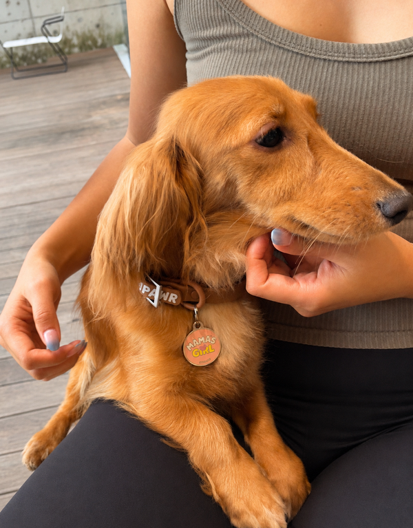 Mama's Girl Dog ID Tag
