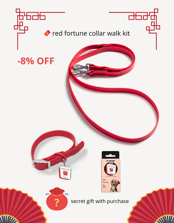 🧧 red fortune kit - ID tag, collar & leash