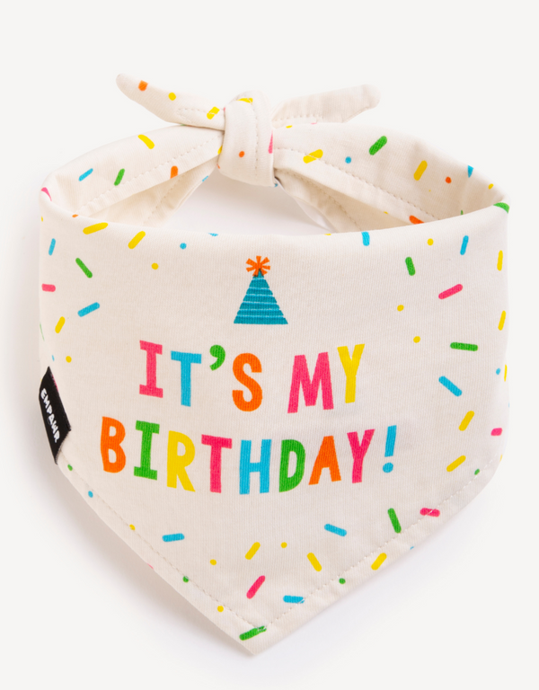 reversible dog bandana - it's my birthday