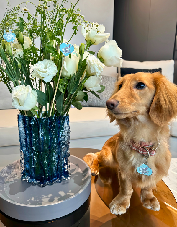 ☁️ dog tag - cuteAF cloud