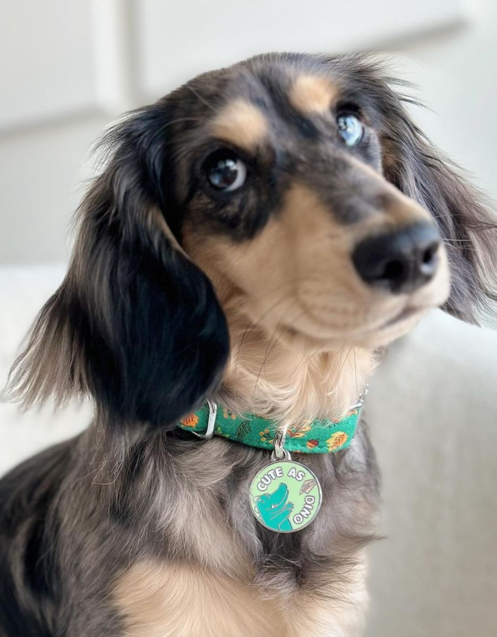 Dinosaur themed cute personalized dog ID tag by EMPAWR — engraved pet tag.