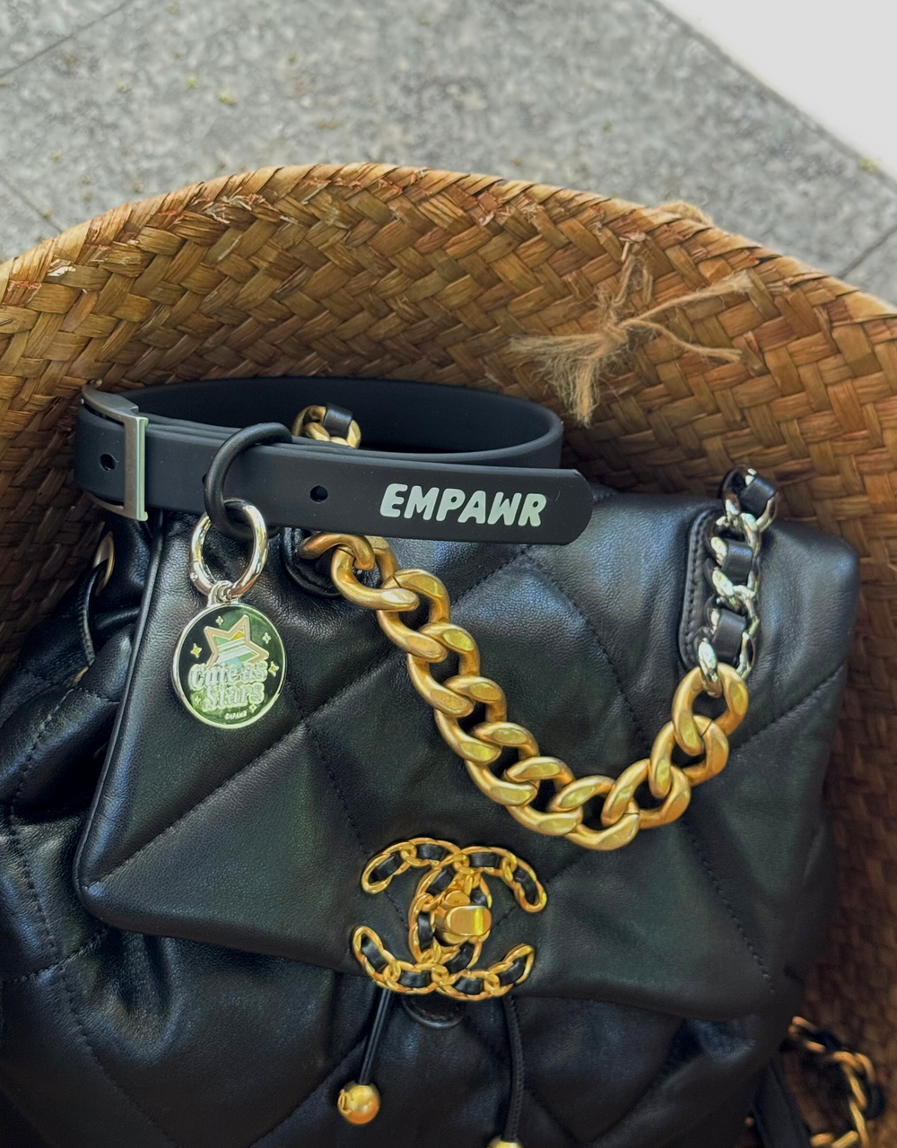 Star themed cute personalized dog ID tag by EMPAWR — engraved pet tag.