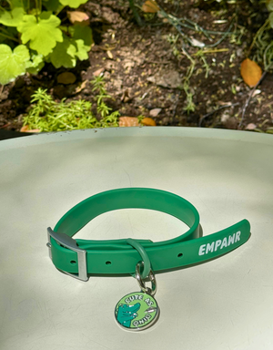 🦖 dog tag - cute as dino