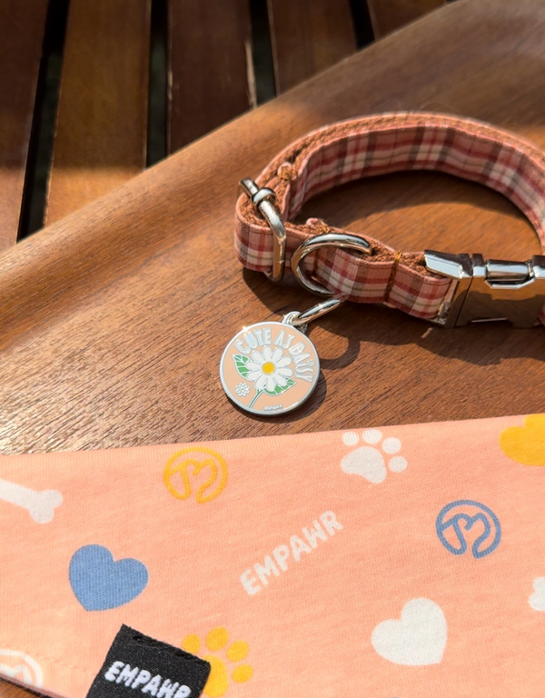 🌼 dog tag - cute as daisy