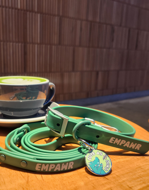 🦖 dog tag - cute as dino