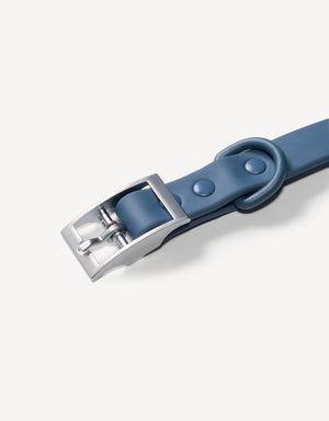 city dog collar - navy