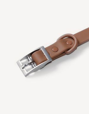 city dog collar - coffee