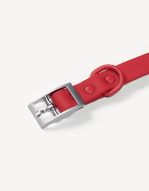 city dog collar - cherry