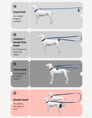 Four panels showing a dog with different leash lengths: long for activities, medium/hands-free for safety, short for control, and double for two dogs.