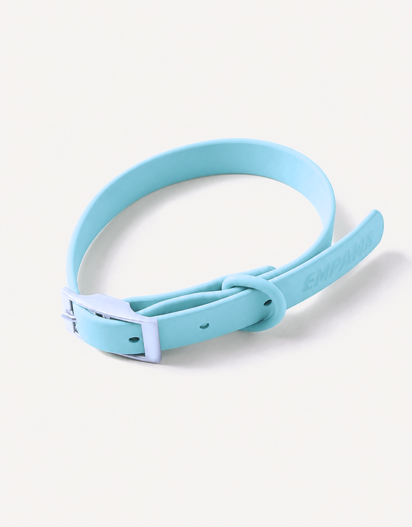 City Dog Collar - Aqua