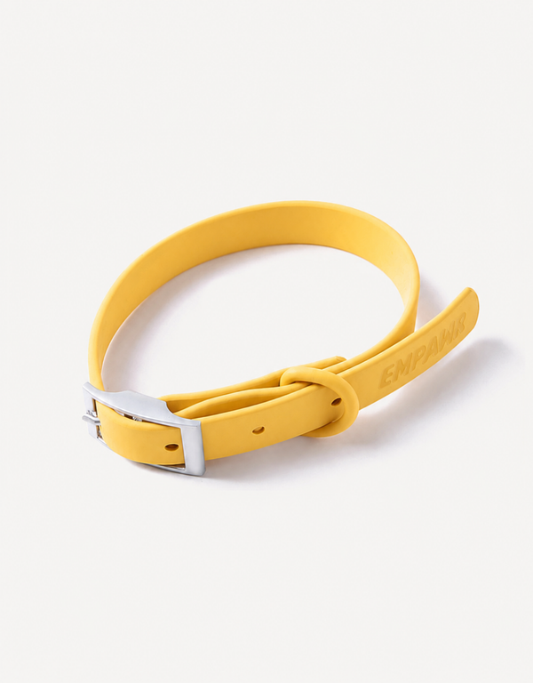 City Dog Collar - Lemon