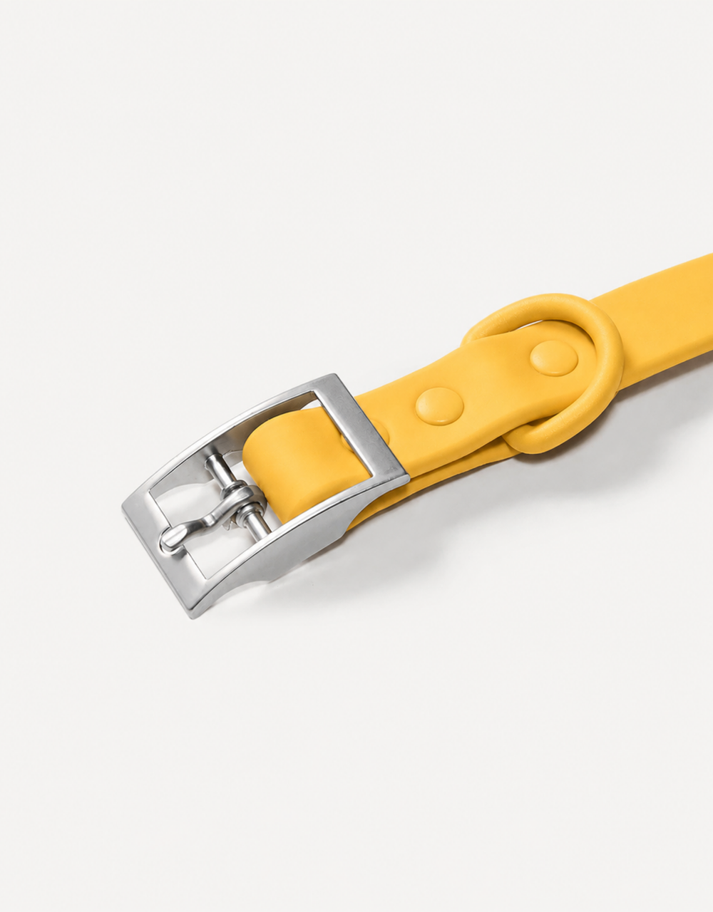 City Dog Collar - Lemon