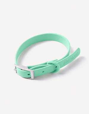 City Dog Collar - Lime