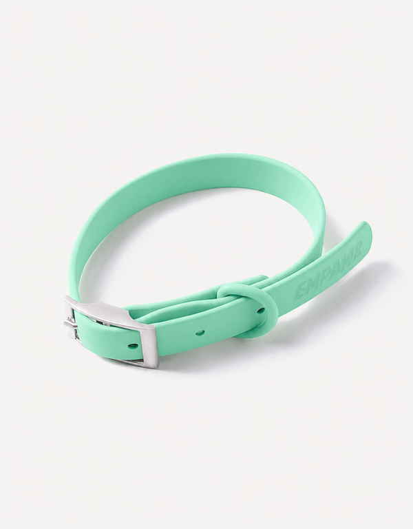 City Dog Collar - Lime