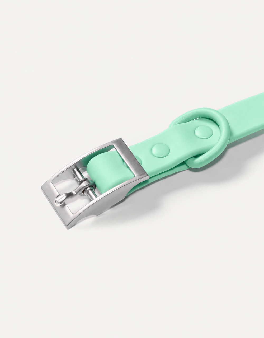 City Dog Collar - Lime