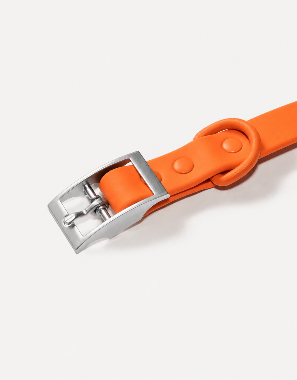 City Dog Collar - Orange