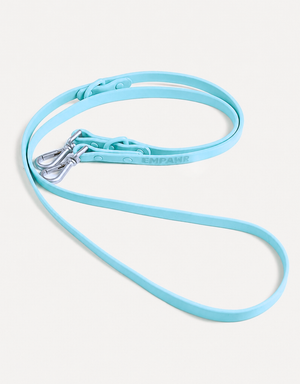 City Dog Leash - Aqua